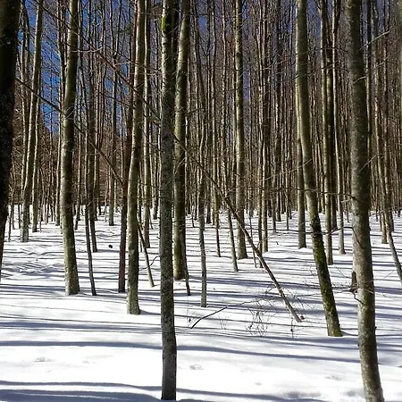 Apartament La Charbonniere