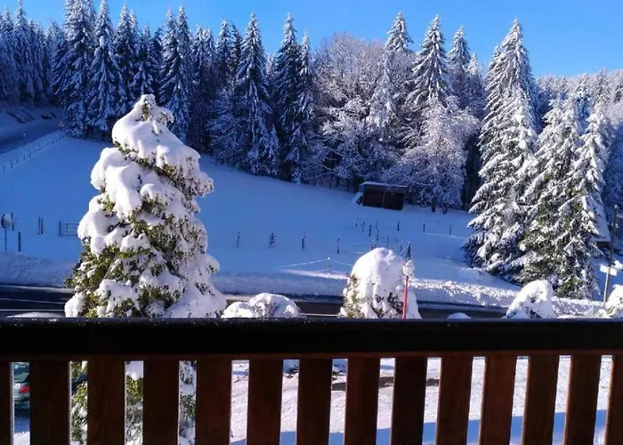 La Charbonniere Appartement Bellefosse